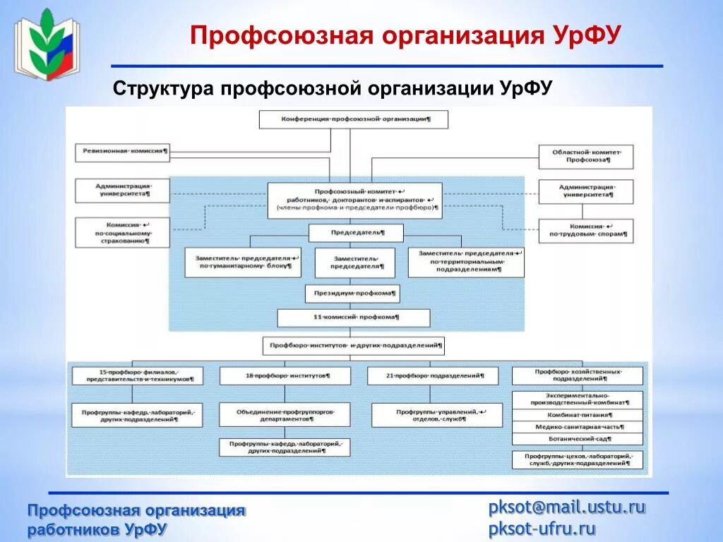 Какая структура организации первична. Состав первичной профсоюзной организации. Структура профсоюзного комитета предприятия. Организационная структура территориальной профсоюзной организации. Органы управления профсоюзной организации.