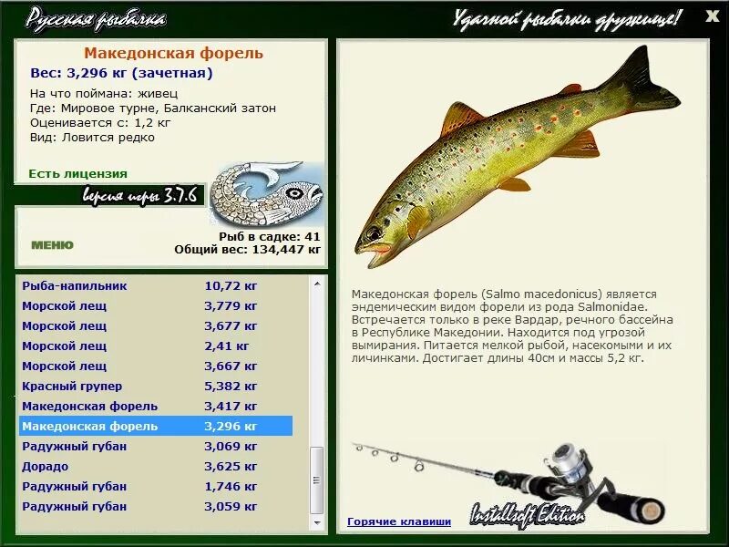 Какую рыбу можно ловить в апреле. Максимальный размер форели. Форель вес. Форель Размеры и вес. Вес рыбы форель.