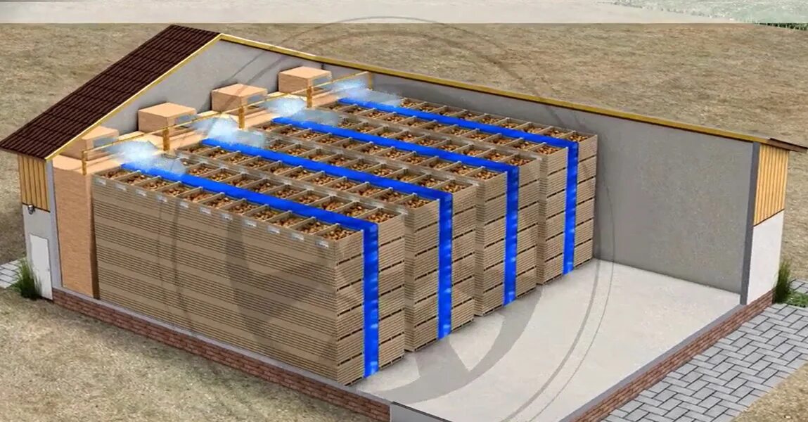 Проект картофелехранилища. Картофелехранилище 1000т. Система вентилирования в овощехранилищах. Система вентиляции картофелехранилища. Стационарные хранилища