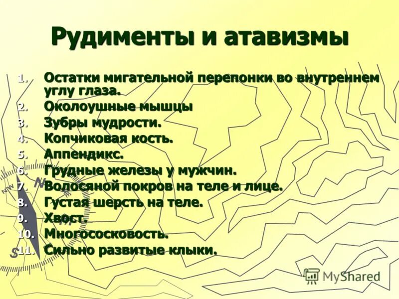 3 примеры рудиментов. Рудименты человека список. Что такое рудимент приведите примеры.