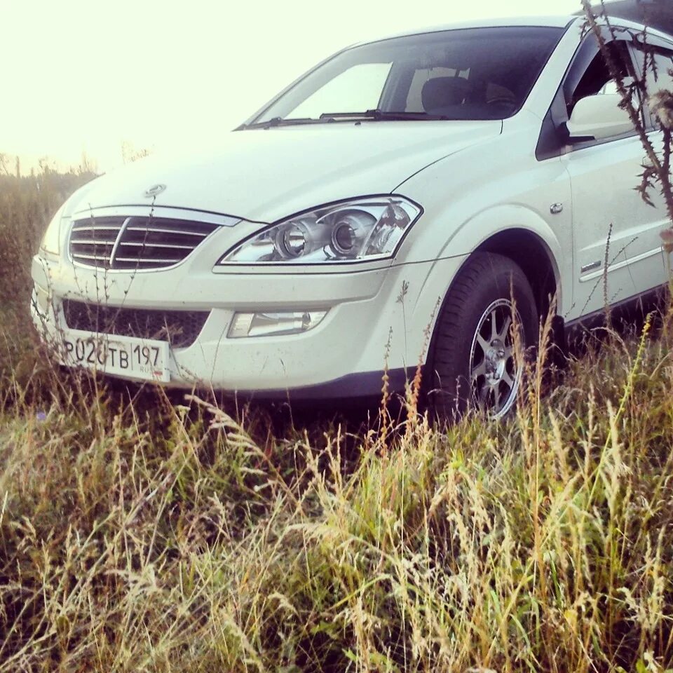 Евро 4 кайрон. Саньенг Кайрон 2.0 2012. SSANGYONG Kyron 4 линза. Р2600 Кайрон.