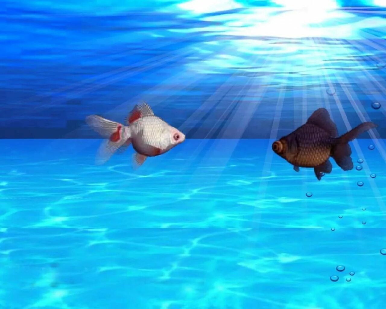 Живые 3д экран. Живые рыбки. Скринсейвер рыбки. Движущиеся картинки на рабочий стол. Обои плавающие рыбки.