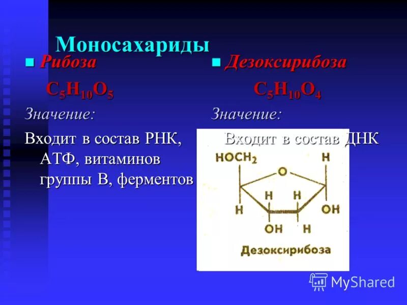 Углевод в составе атф