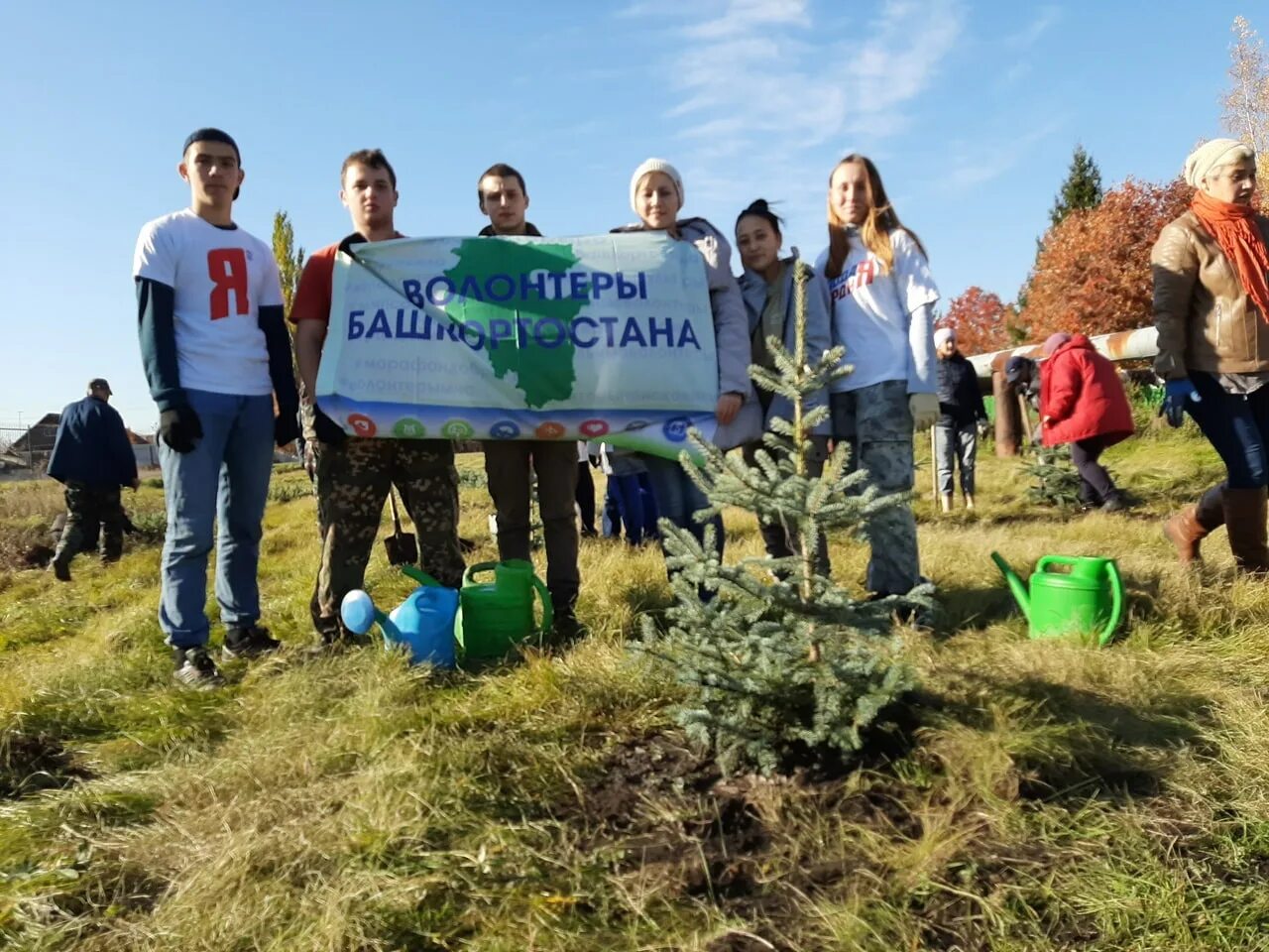 зеленые акции. скидка зеленая. акция зеленый субботник. зеленые акции. зеленая суббота электросталь.