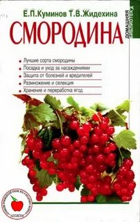Смородин книги