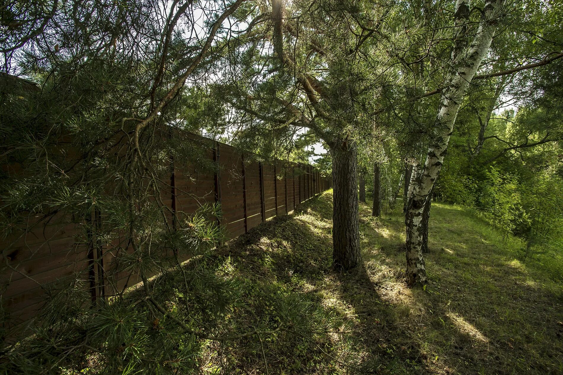 участок земли в лесу. покровское южное дом. лесной земельный участок.