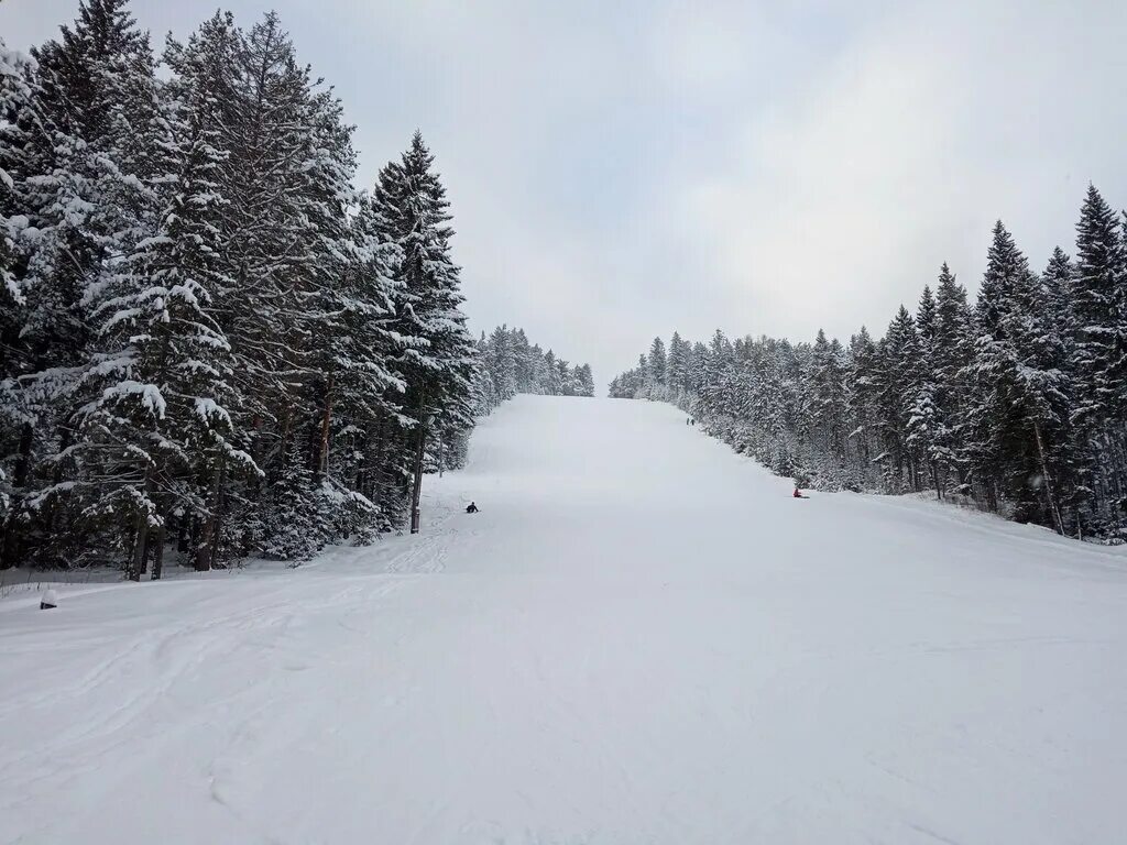 канатка златоуст горнолыжный курорт. трасса златоуст лыжная трасса. горнолыжка златоуст канатка. горнолыжка златоуст. спорт экстрим златоуст горнолыжный курорт.