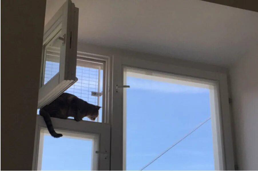 Сетка антикошка на деревянные окна. Решетка антикошка. Сетка антикот на пластиковые окна. Сетка на окно для кошек. Защитные сетки на окна для кошек.