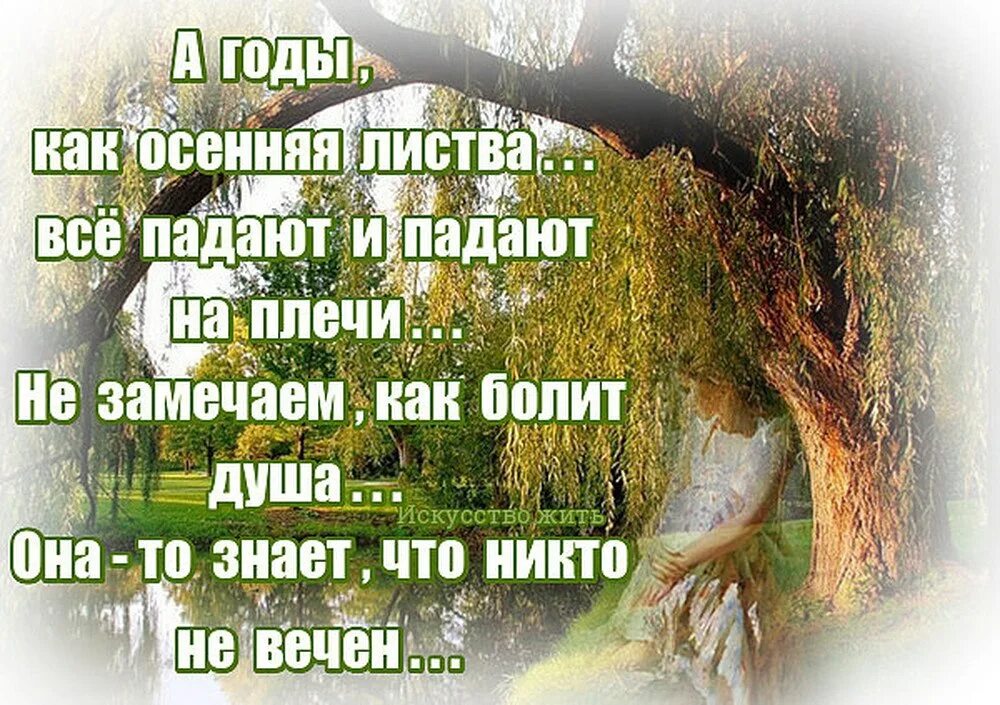 Бе жизненный не держанный делка. Искусство жить цитаты. А годы как осенняя листва все падают и падают на плечи. Искусство жить просто высказывания. Душа болит.