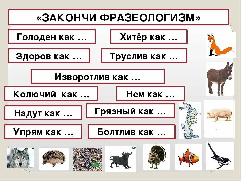 Хитрость род. Хитрость род. Забавный шимпанзе род несклоняемых существительных. Дописать фразеологизмы. Мужской женский средний род.