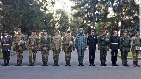 Украинская нова