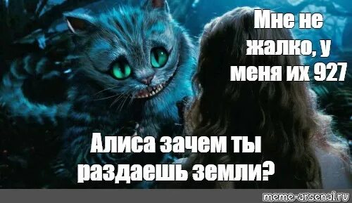 Мудрости Чеширского кота. Алиса в стране чудес мемы. Алиса и Чеширский кот картинки. Диалог Алисы и Чеширского кота. Алиса почему ты думаешь