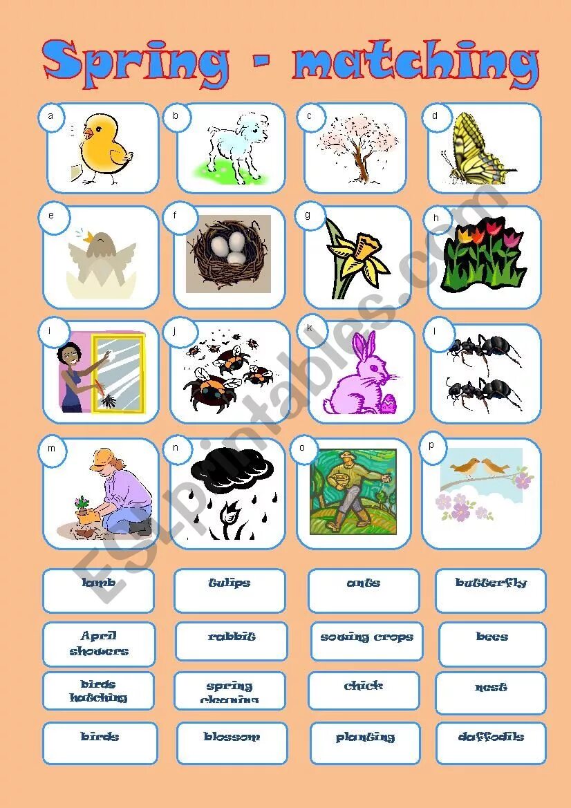 Spring matching. Worksheets Matches Spring. Wild animals Worksheets for Kids matching. Spring match