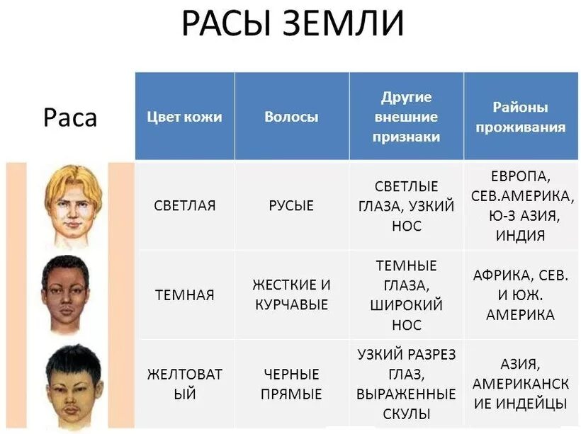 3 типа рас. Расы людей. Расы на земле. Основные расы. Расы людей список.