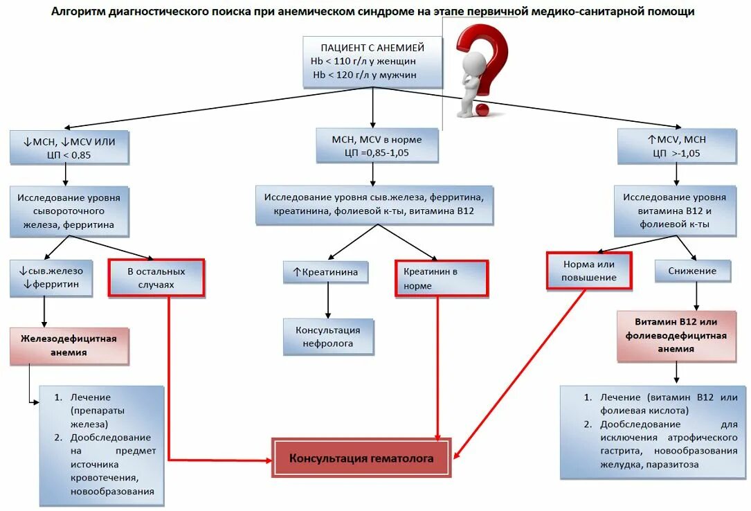 Анемия стандарты. Схема обследования при железодефицитной анемии. Анемия беременных классификация клинические рекомендации. Алгоритм лечения железодефицитной анемии. План обследования при железодефицитной анемии.