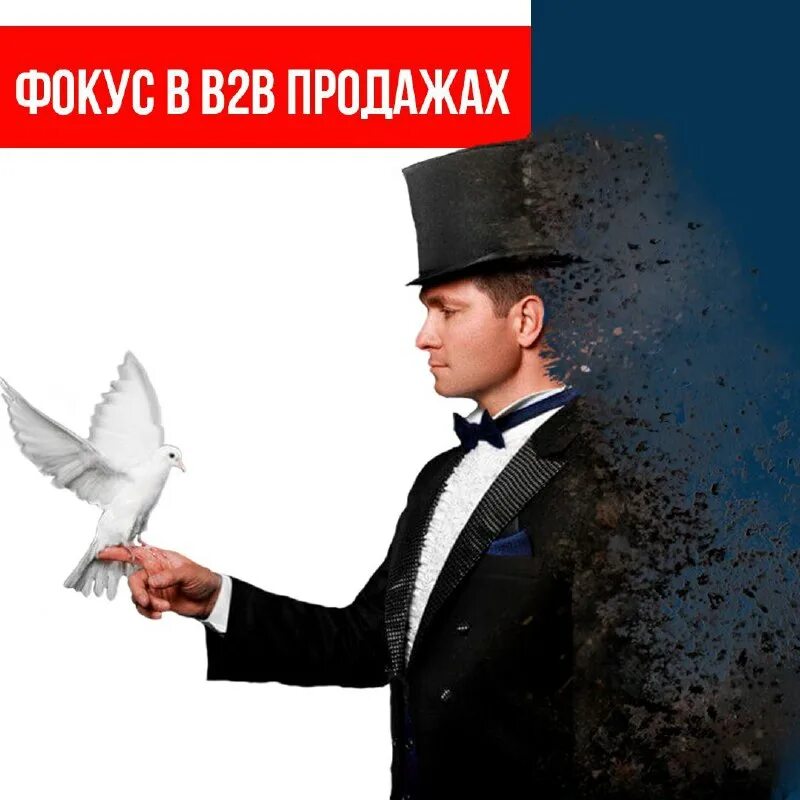 обаятельный это. медицинский центр «харизма». обаяние это способность. центр обаяние. обаяние.