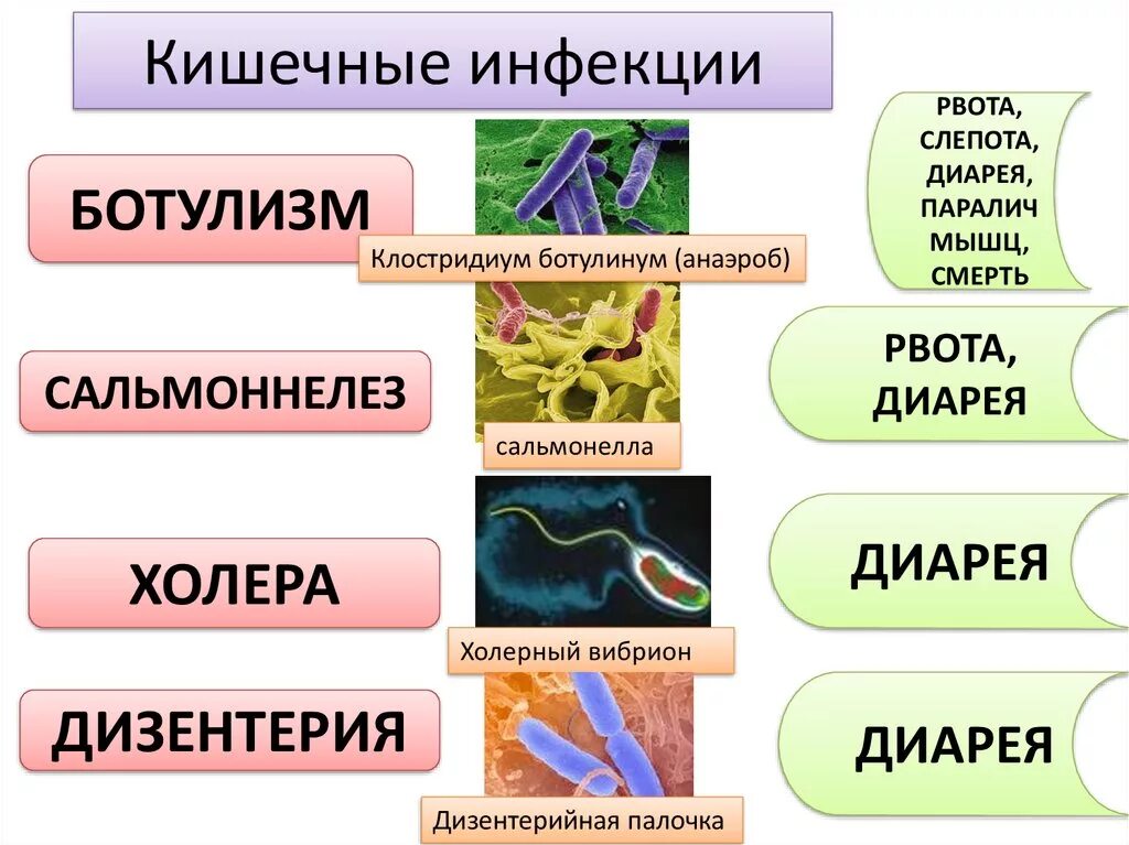 Перечислить кишечные заболевания