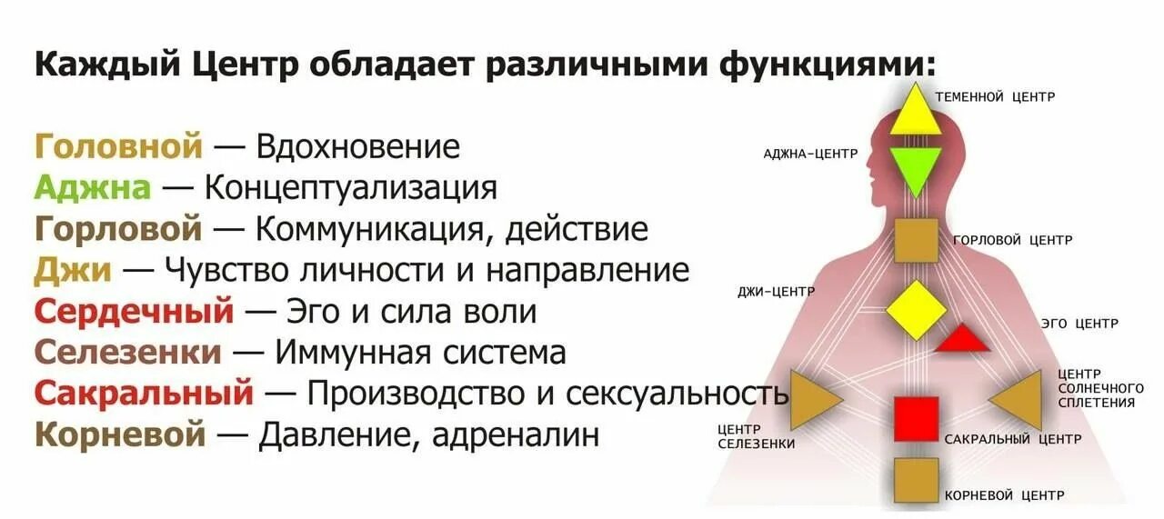 Горловой центр. Центры в дизайне человека. Дизайн человека чакры. Горловой центр в дизайне человека. Теменной центр в дизайне человека.