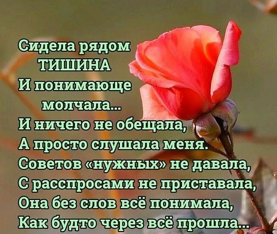 Слушать проста про. Сидела рядом тишина и понимающе. Стихи про тишину. Сидела тишина и понимающе молчала. Сидела рядом тишина и понимающе молчала и ничего не обещала.