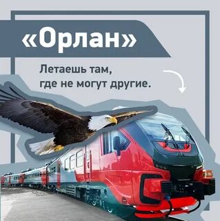 Птичьи имена поездов