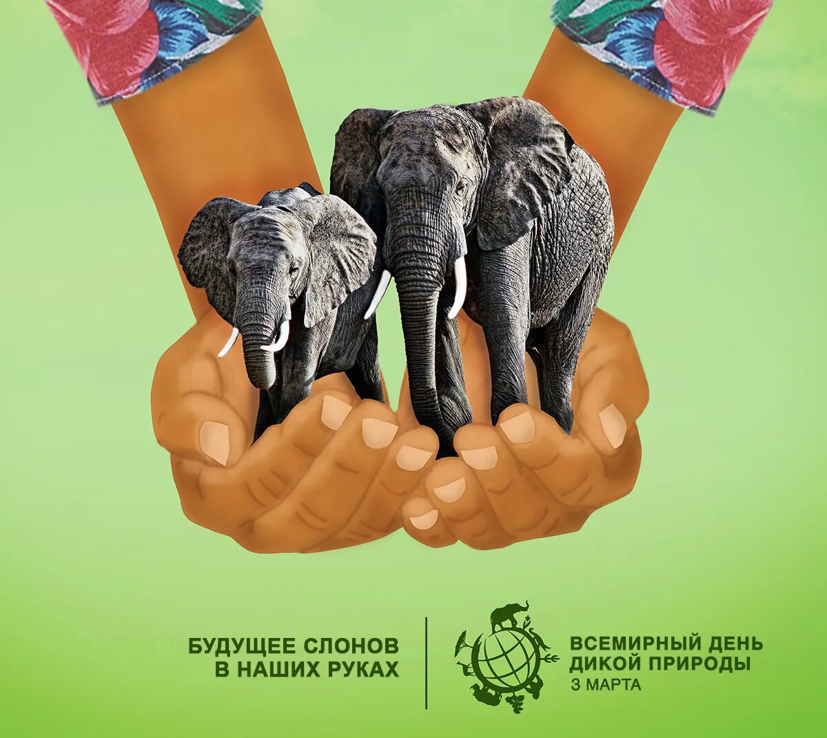 акция дикая природа. акция дикая природа. животные под охраной wwf. акция дикая природа. всемирный день дикой природы 2022.