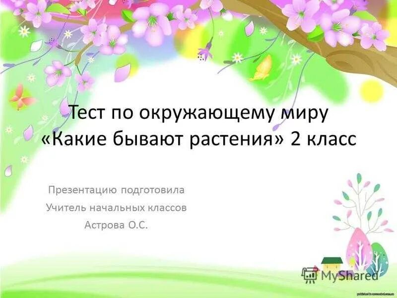 Тест по окружающему миру 2 класс растения. Какие бывают растения 2 класс. Какие бывают растения тест. Какие бывают растения 2 класс тест. Контрольная работа растения и человек