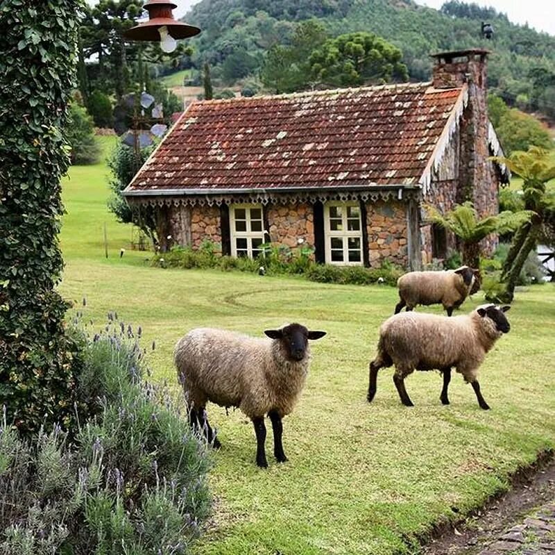 I live in the countryside. Sanfields Farm Англия. Cotswolds Англия овечья шерсть. Красивая ферма. Английская деревня.