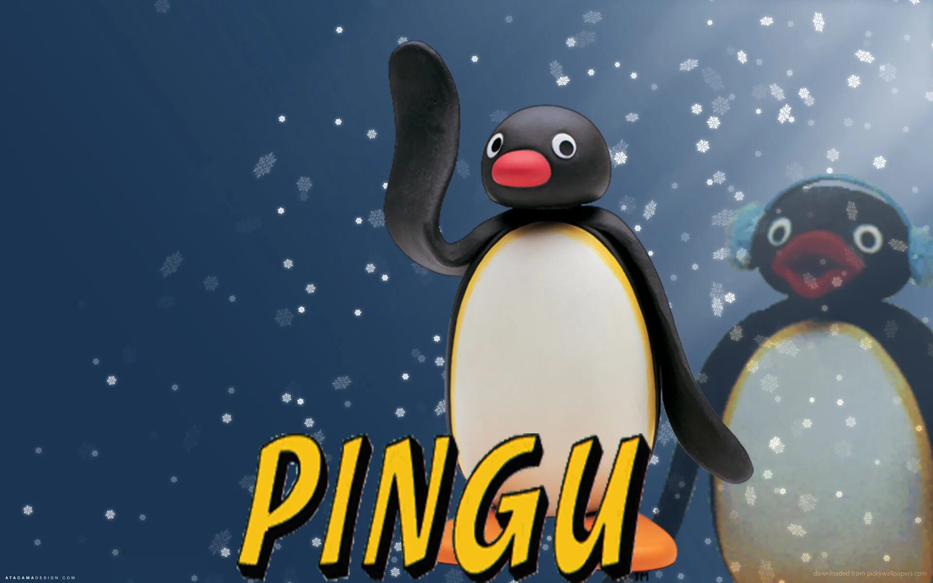 Видео пингу. Pingu. Пингу шоу. Pingu фон.