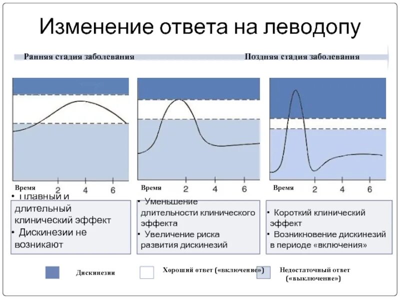 Эффект длительное время. Моторные флуктуации. Моторные флуктуации и дискинезии. Эффект включения. Механизм действия леводопы.