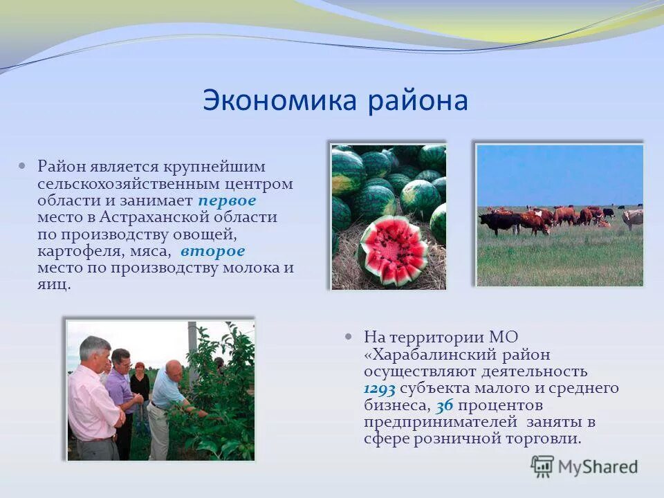 Проект экономика родного края астраханская область. Экономика астраханского края проект. Экономика родного края 3 класс окружающий мир астрахань. Экономика астраханского края 3 класс. Экономика родного края астрахань.