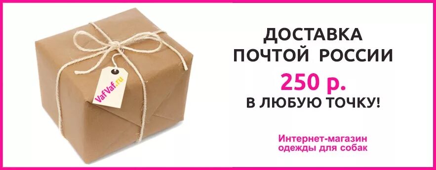 Доставка почтой. Бесплатная доставка почтой России. Доставка почтой картинки. Отправка почтой.