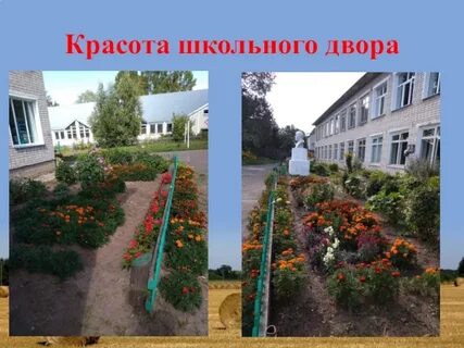 Звуки школьного двора