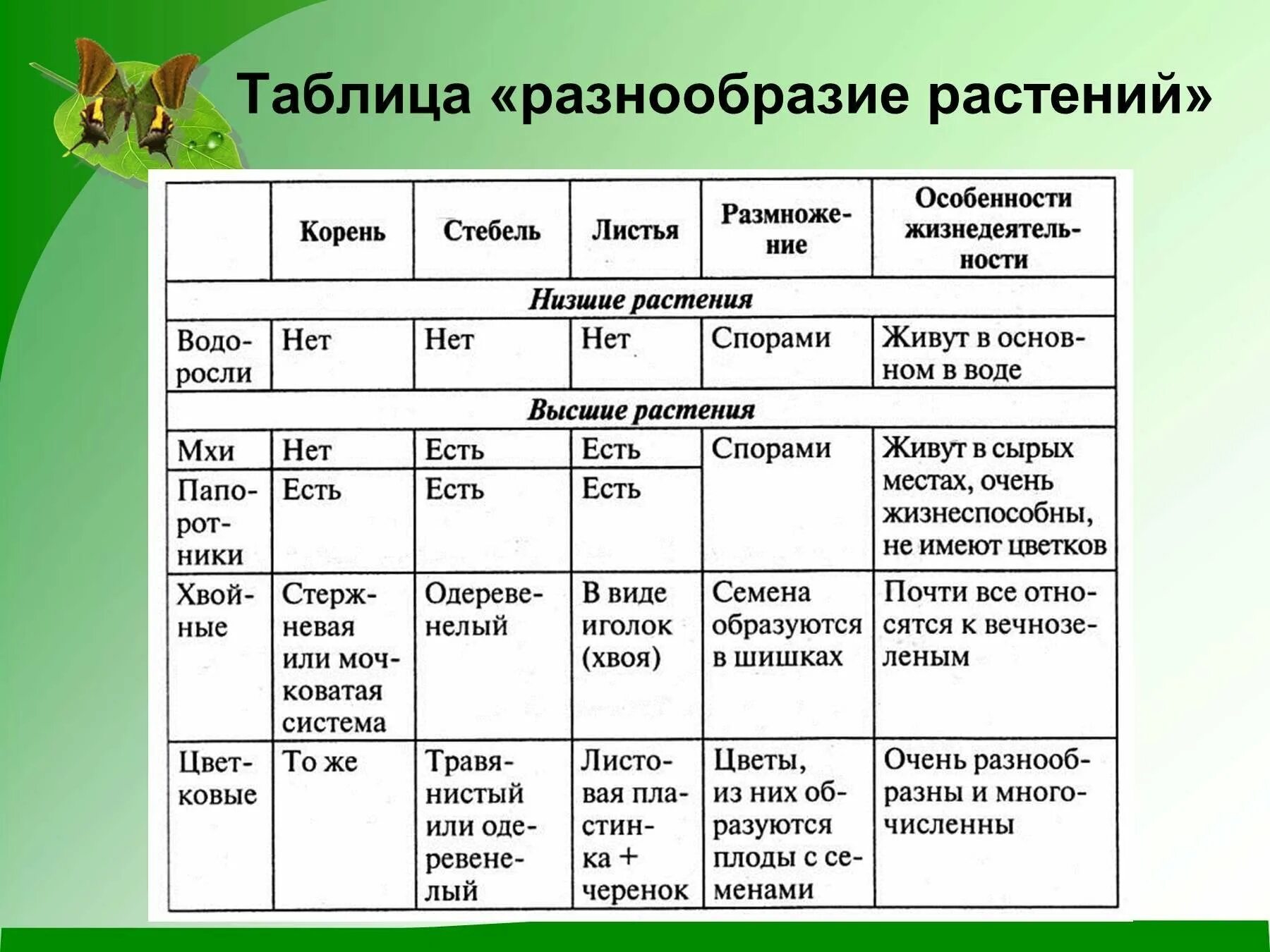 Многообразие семейств. Таблица по окружающему миру 3 класс растения. Таблица разнообразие растений 3 класс окружающий мир. Таблица разнообразие растений 5 класс биология. Таблица группы растений 5 класс.