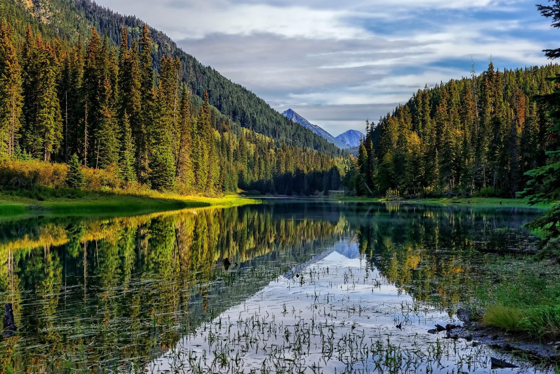 Фото. Озеро Рица. Лесное озеро (Forest Lake). Лесное озеро в Канаде. Лесное (озеро, Северная Америка).