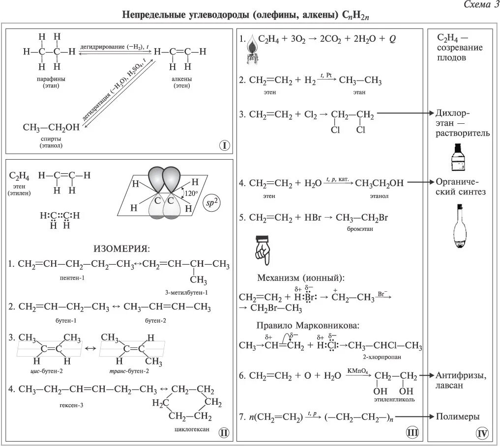 Химия 10 класс предельные углеводороды алканы. Органическая химия алканы химические свойства. Органическая химия Алкены химические свойства. Опорная схема алканы. Конспект алкены