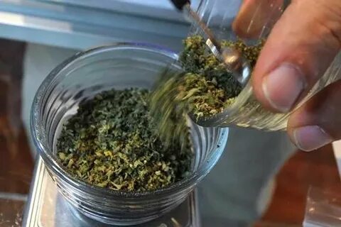 Экспериментатор измельчил семена