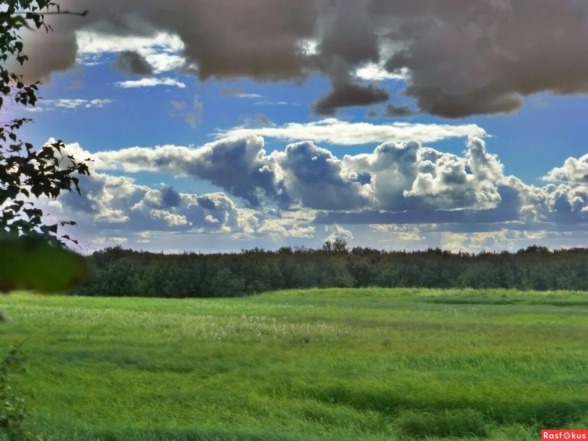 раздолье природа. русское раздолье. россия раздолье. раздолье полей. широкое раздолье.