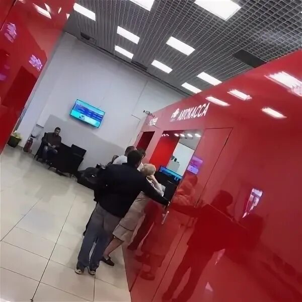 Автобусы компании северок фото. Автобус мерседес северок. Автобус северок. Компания северок. Фотографии автобусов северок транспортная компания.