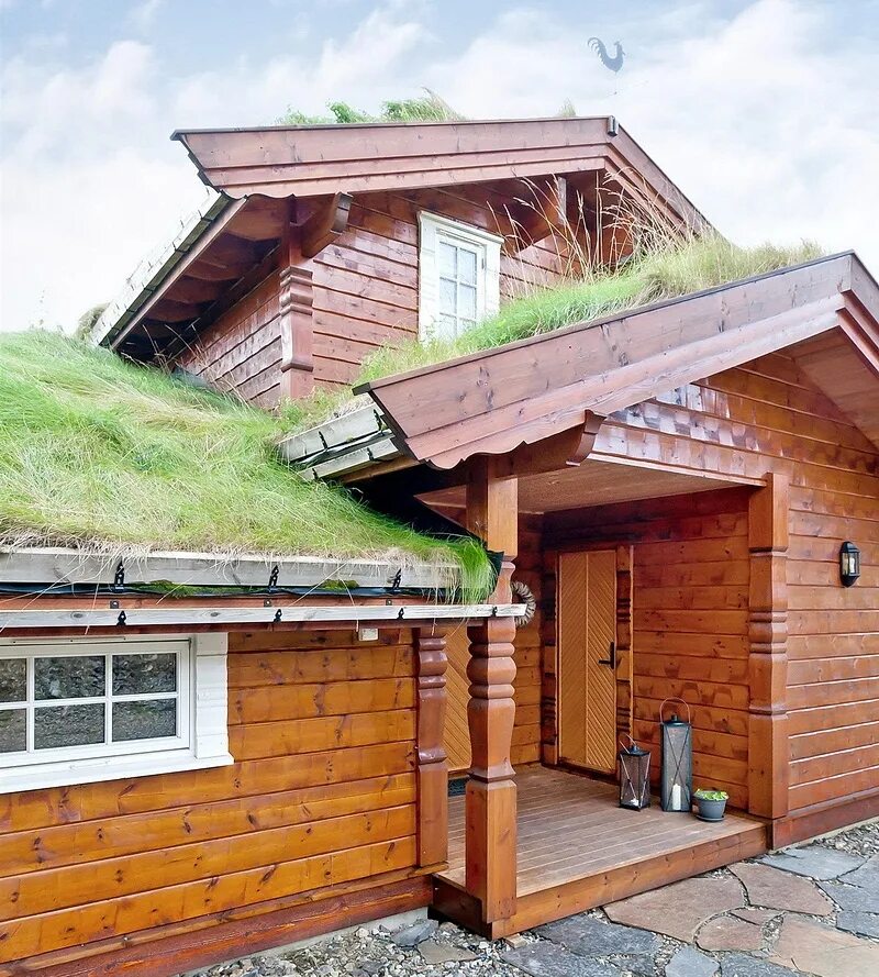 Земляная крыша. Деревянный дом с Земляной крышей. Норвежская крыша технология. Дома с Земляной крышей Норвежская технология.