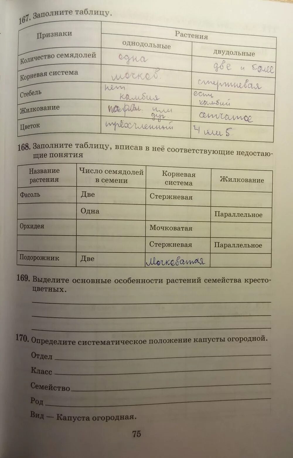 Дыхание растений 6 класс биология рабочая тетрадь. Биология 6 класс Пасечник стр 96 таблица. Таблица по биологии 6 класс Пасечник страница 96. Биология 6 класс Пасечник стр 145 таблица. Таблица по биологии 6 класс учебник Пасечник.