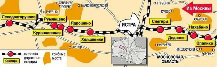 Грибные места Рижского направления Подмосковья. Грибные места Подмосковья на карте. Карта грибных мест Подмосковья Рижское направление. Рижское направление грибные места. Электричка снегири нахабино сегодня