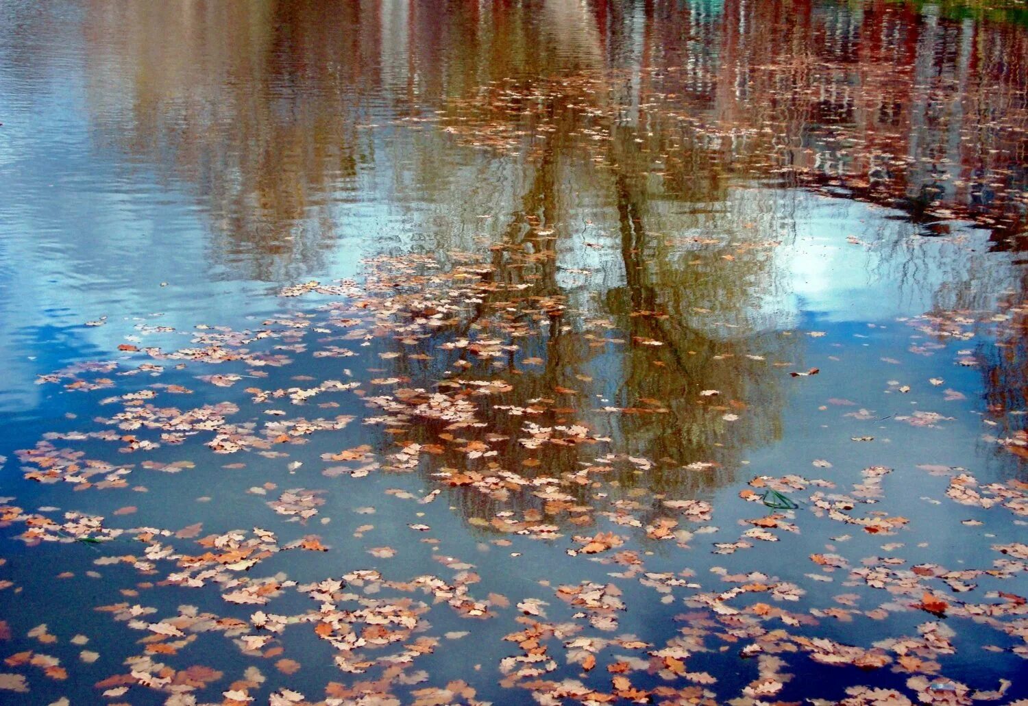 Отражение вода песни. Отражение в воде. Отражение в луже. Отражение в луже осень. Красивая лужа.