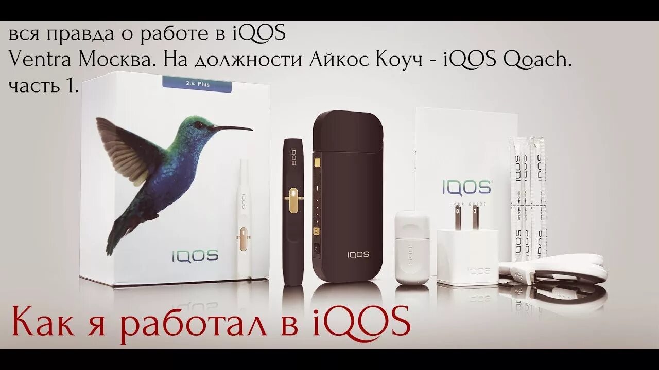 Iqos uzb zaqaz. IQOS 2.4 Plus. IQOS 2.4 Колибри. Стики на айкос 2.4 Plus. Комплект IQOS 2.4.