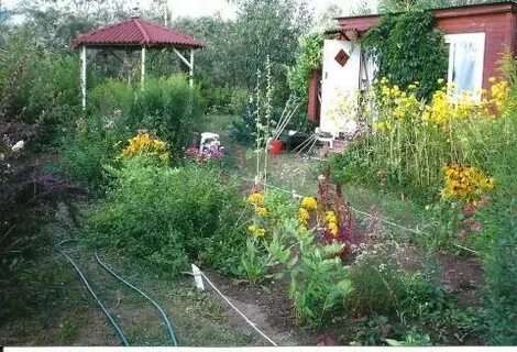 Снт любитель курск
