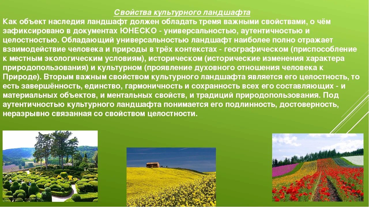 Наибольшее разнообразие наблюдается в. Сообщение о природных ландшафтах. Культурные ландшафты презентация. Культурный ландшафт. Понятие ландшафта.