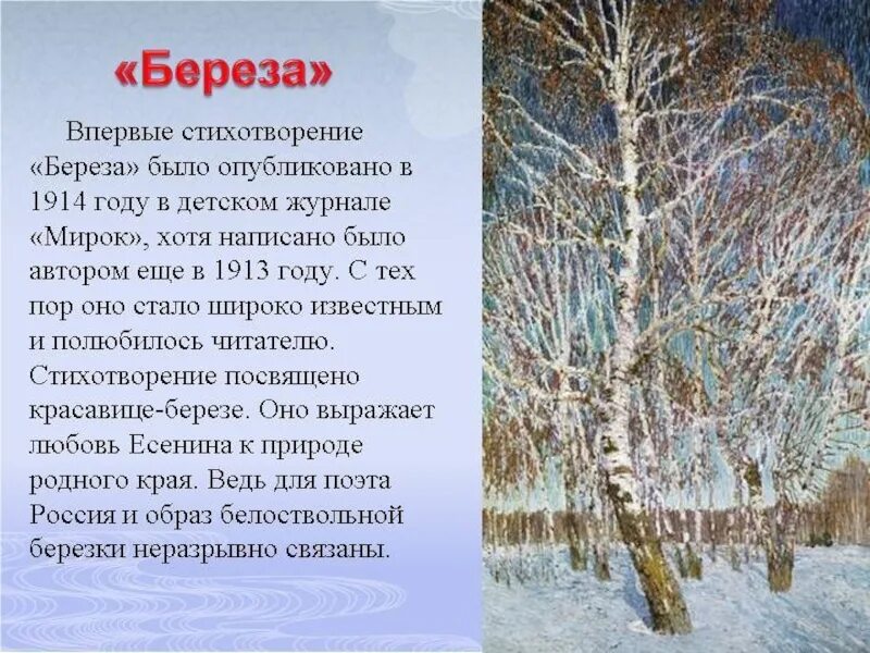 Стихотворение белого родине. Стихотворение береза. Стихи Есенина. Стихотворение Есенина береза. Стих про березу.