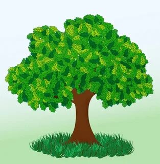 Русское порно: қыз трахает жігіттің досын желіде