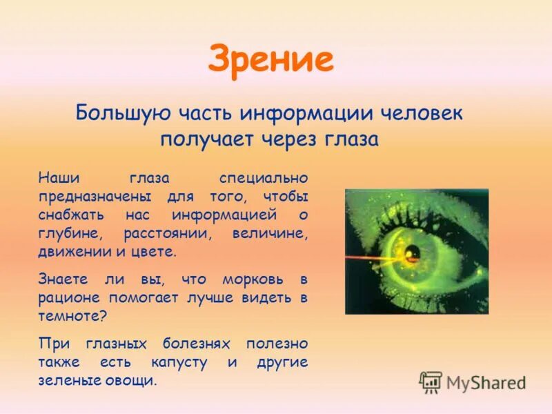 Интересные сведения о человеке. Сообщение о органе чувств. Презентация на тему органы чувств. Органы чувств доклад. Сообщение о органе зрения.