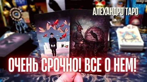 Видео таро с ниной новые 2024