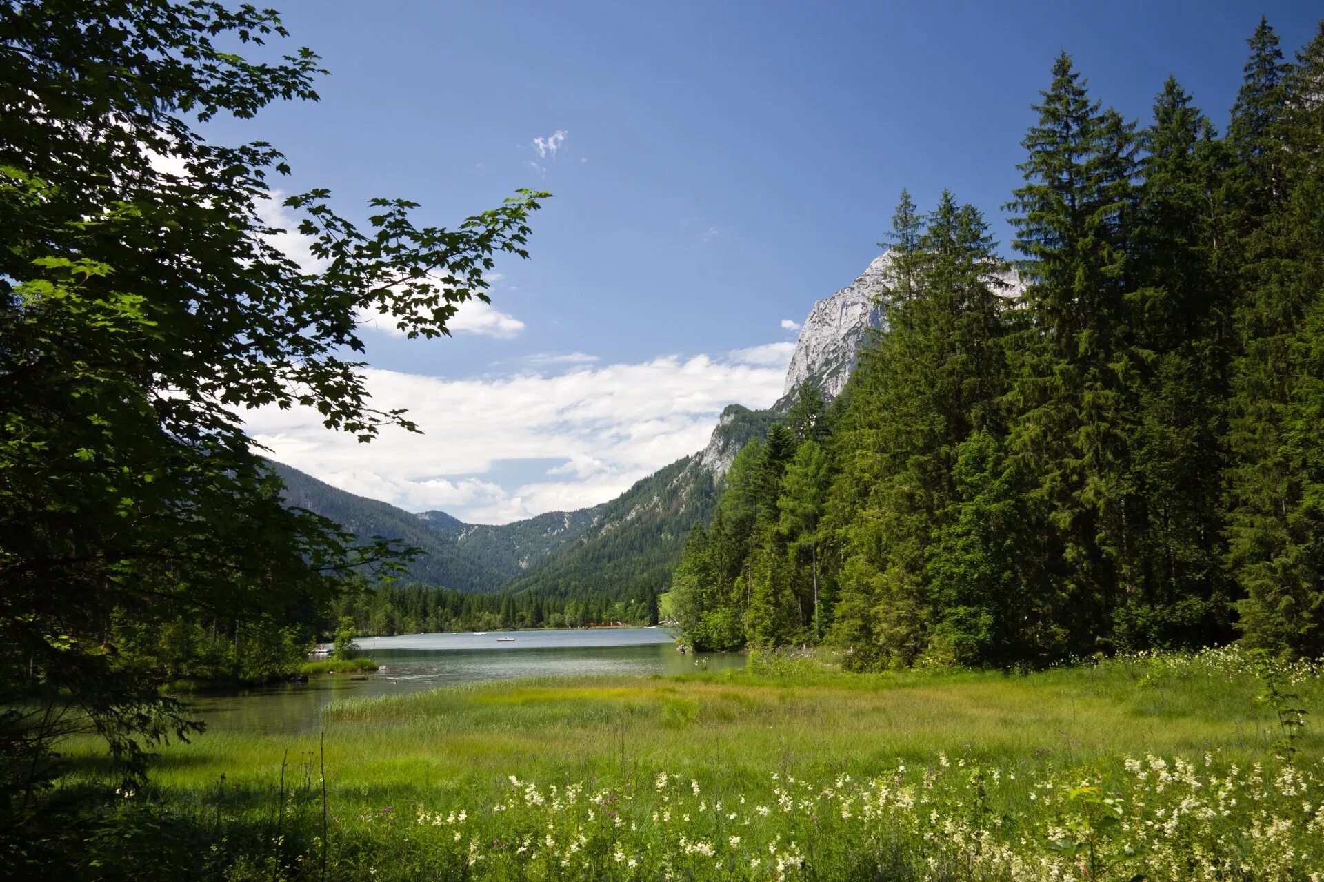 Южный Шварцвальд озеро. Альпийские Луга Швейцария. «Сибирская Швейцария», горные озера и Альпийские Луга Алтайский край. Германия Альпы озеро.